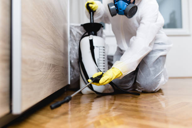 Best Exterminator Services  in Fortuna, CA