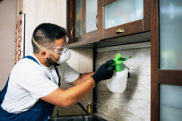 Best Cockroach Control Services  in Fortuna, CA