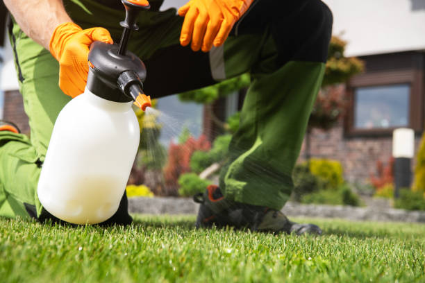 Professional Pest Control in Fortuna, CA