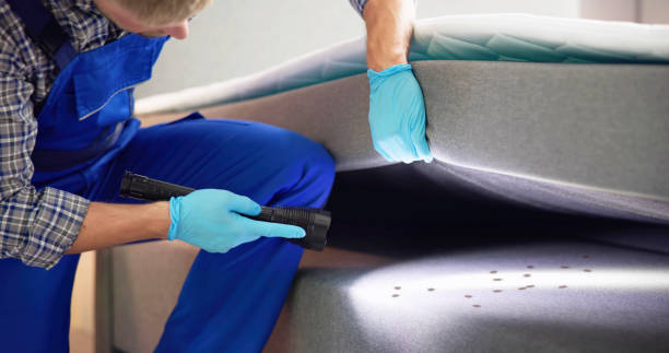 Best Bed Bug Extermination  in Fortuna, CA