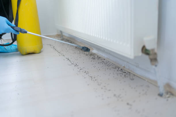 Best Wildlife Control Services  in Fortuna, CA