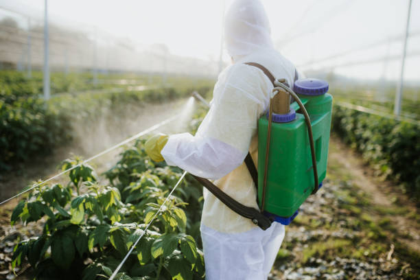 Best Emergency Pest Control  in Fortuna, CA